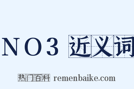 NO3近义词是什么意思的图片